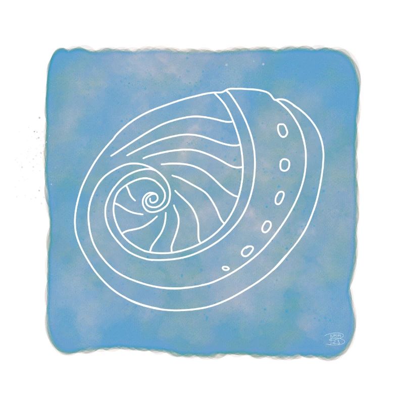 Abalone, Boho Line Art Design, Série Shells