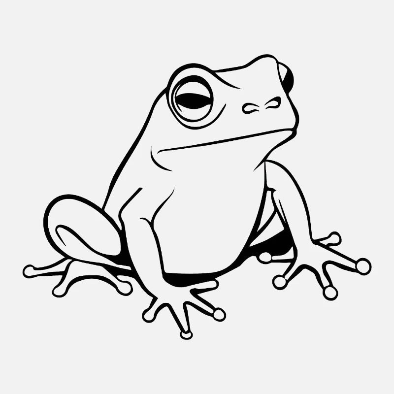 Crapaud amphibien grenouille