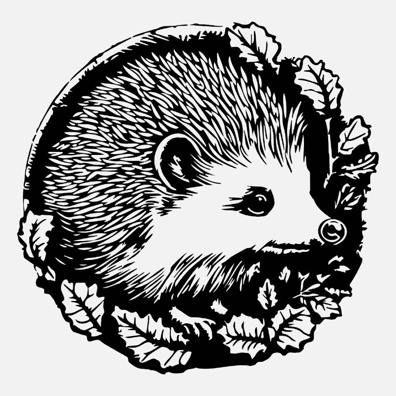 Igel Wald Stachelig Tier