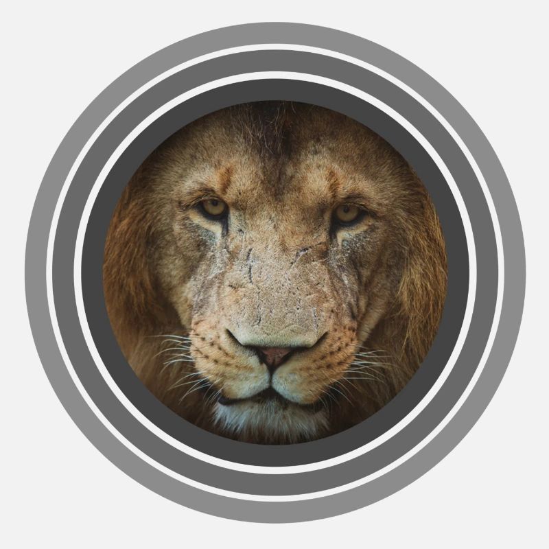 Cercles de couleur de lion noir blanc
