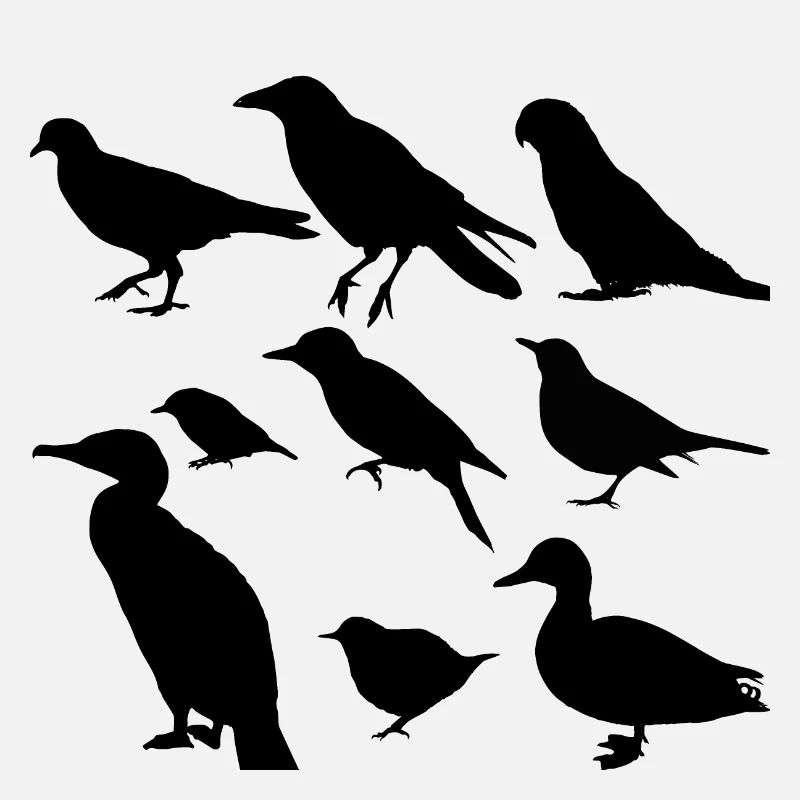 Vögel minimalistisch, Silhouetten