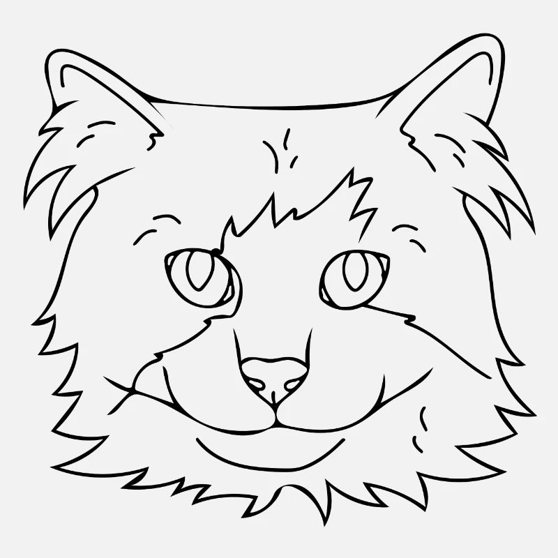 Katze
