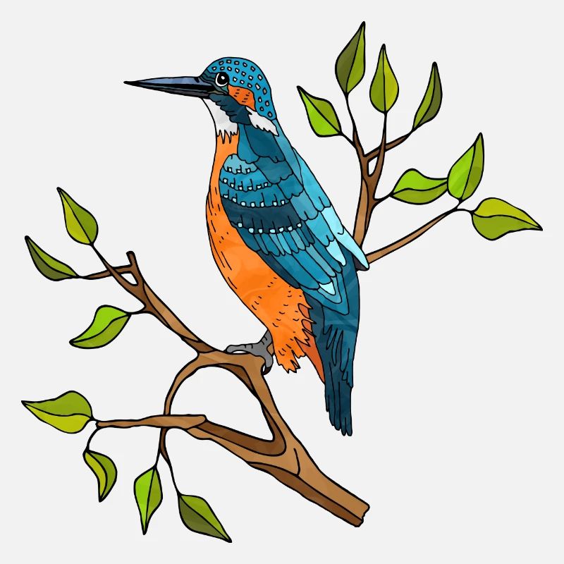 Oiseau coloré