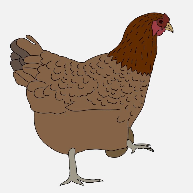 Huhn