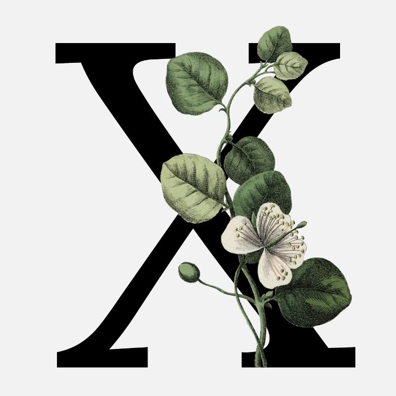 Buchstabe X Grüne Botanik