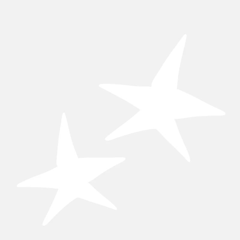 Star Shape Two Stars Icon