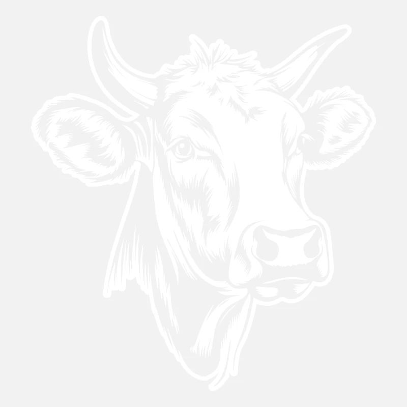 Cow Cows