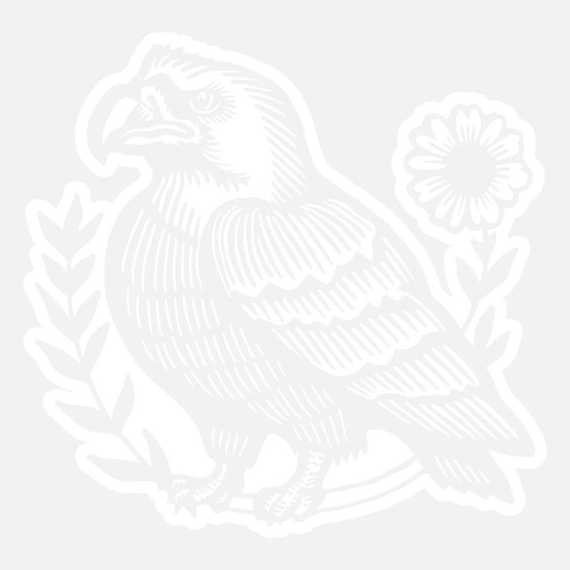 Eagle Eagle Head