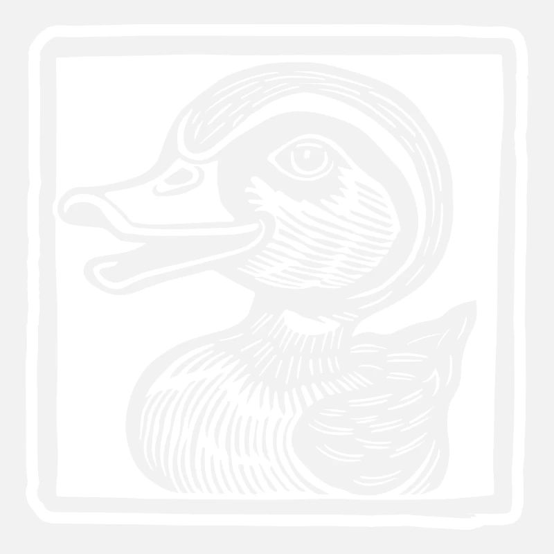 Canards
