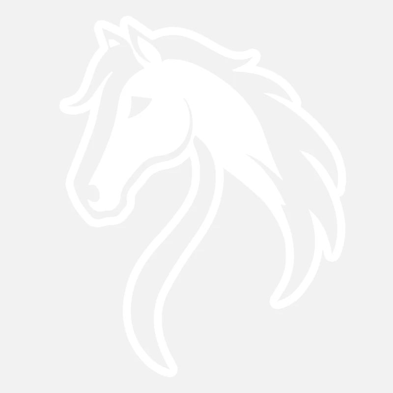 Cheval Chevaux Équitation Cavalier
