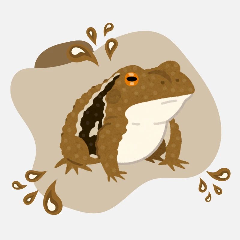 Toad