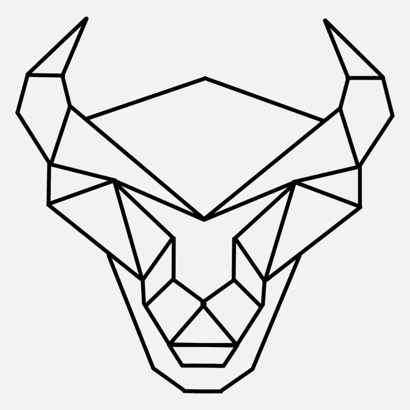 Stier