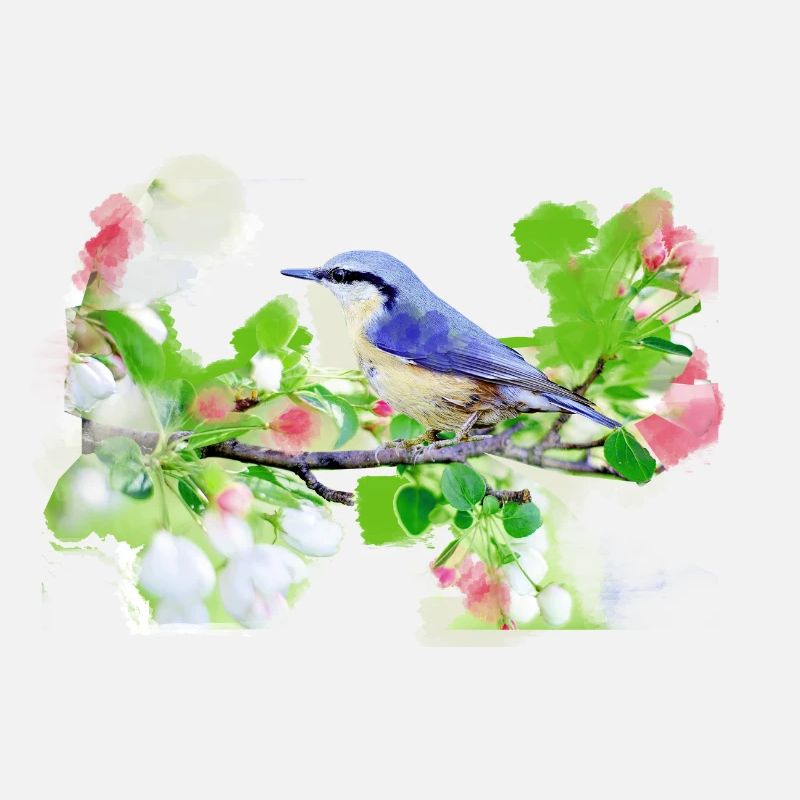 kohlmeise,vogel,blumen,aquarell