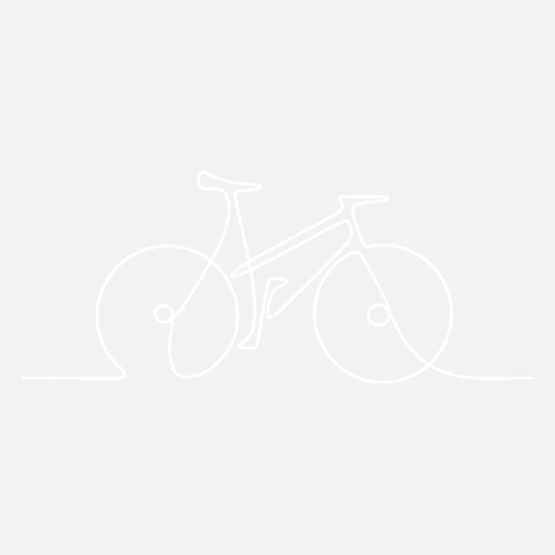 Minimal-Line-Fahrrad