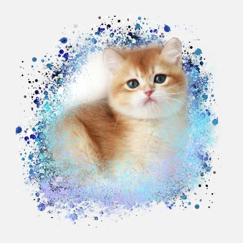 kitten,cat,kitten,graffiti,painting