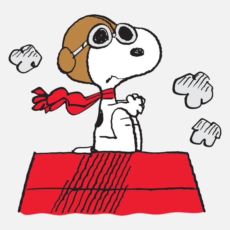 Peanuts Snoopy Pilot