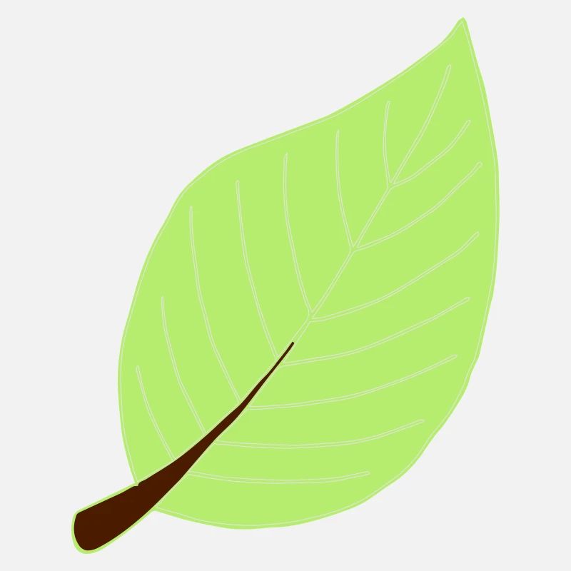 leaf