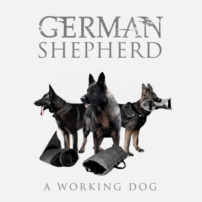 German Shepherd Dog