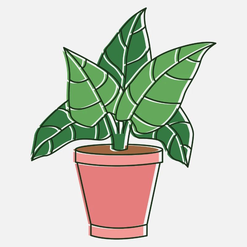 fall plants for u