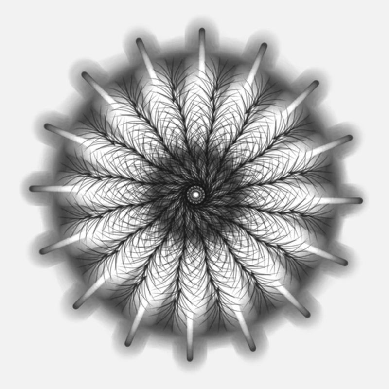 Illusion
