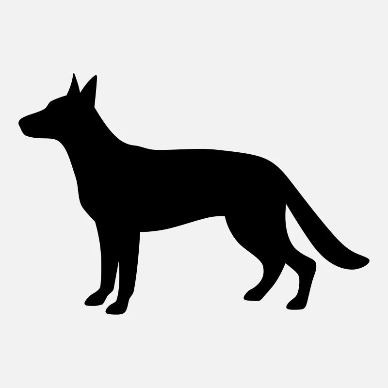 German / Belgian Shepherd Dog