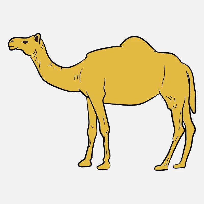 Camel / Dromedary - side view
