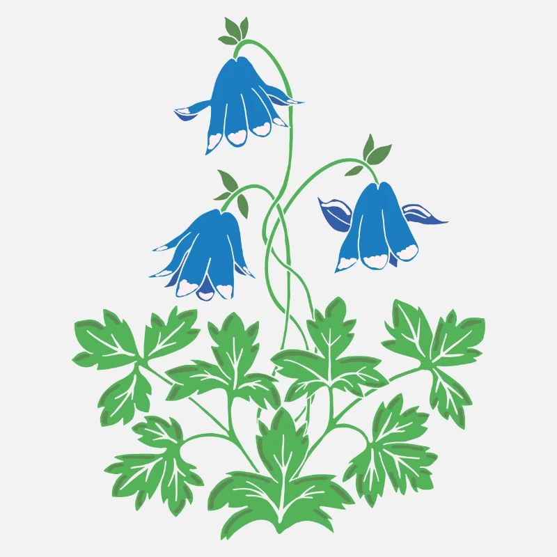 Columbine en bleu et vert