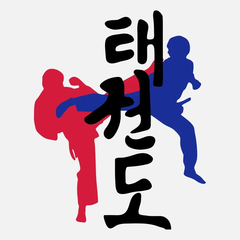 Taekwondo Kicks icon