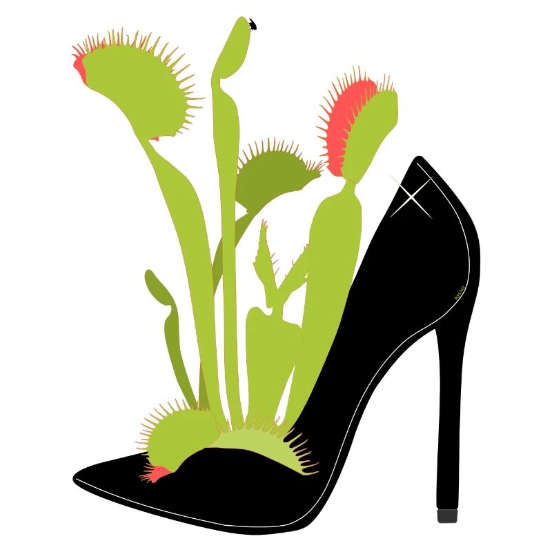 Venus flytrap