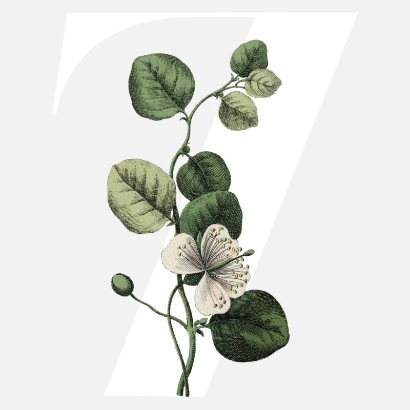 Nummer 7 Blumengrün -7. Blumengeburtstag