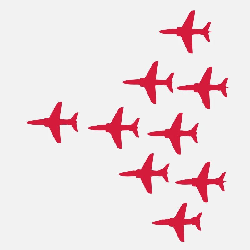 Red Arrows Vulcan 2007 Gründung