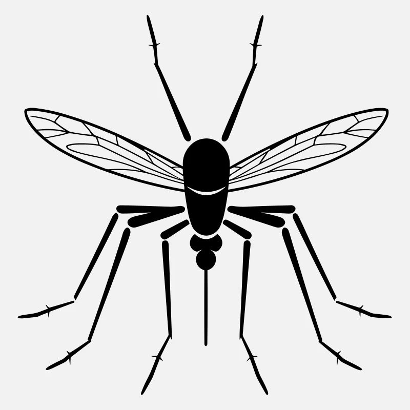 Mosquito