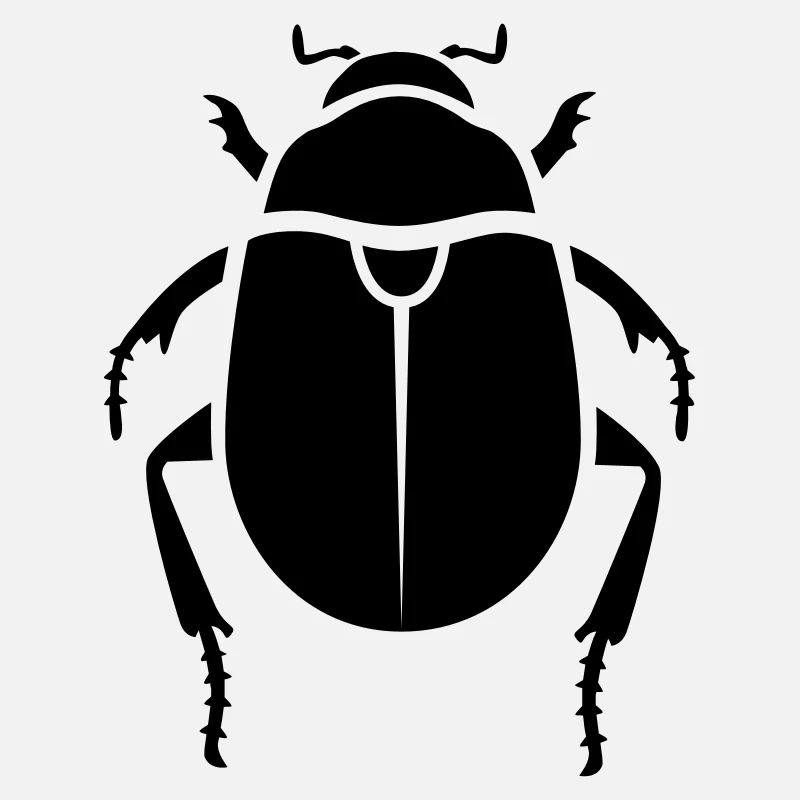 Insect - leaf beetle