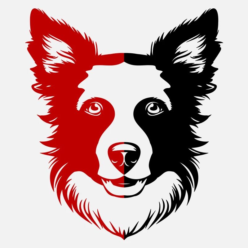 Border Collie Hund Kopf