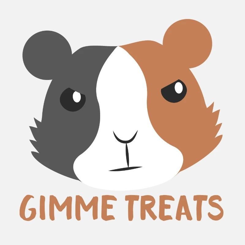 Donne-moi des friandises! avec mignon cochon d'inde en colère