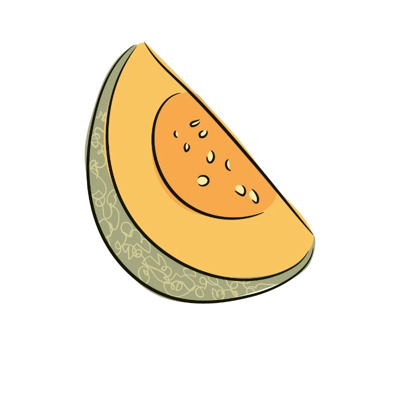 Melon d’été pastèque Pastèque