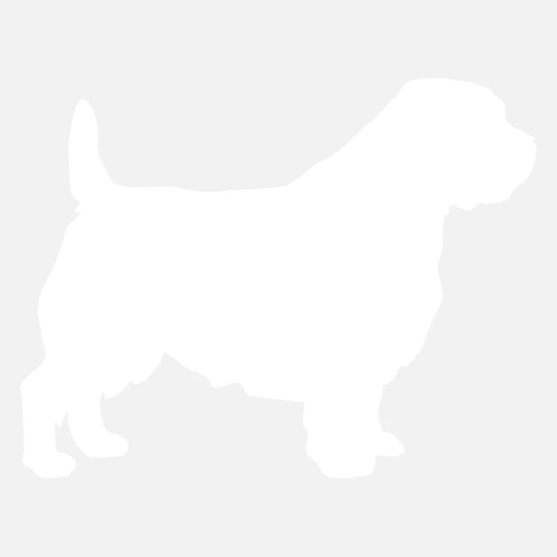 Norfolk Terrier