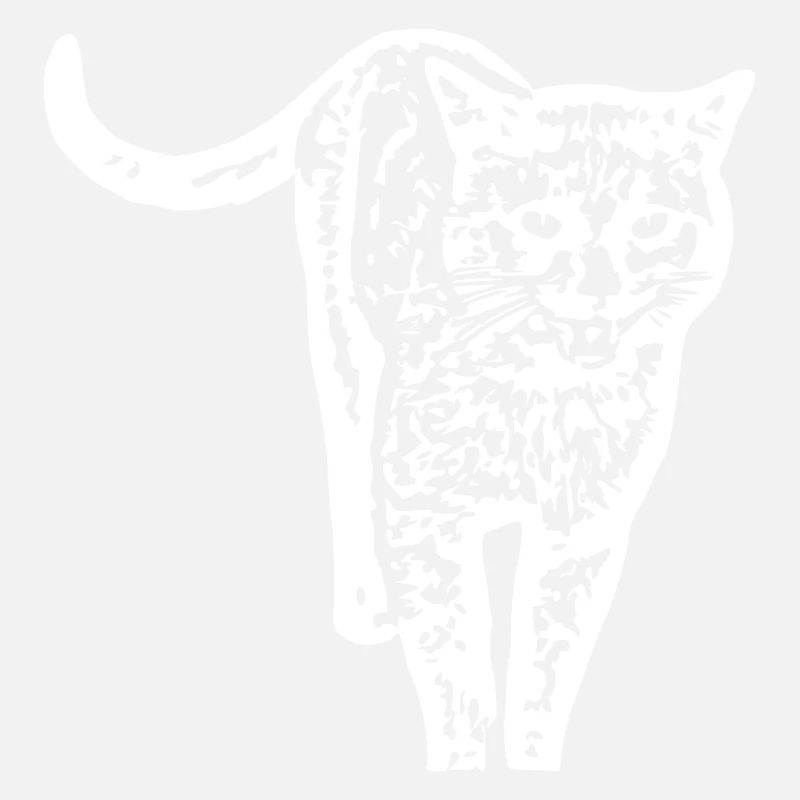 Chat blanc Chat Chat blanc Cadeau