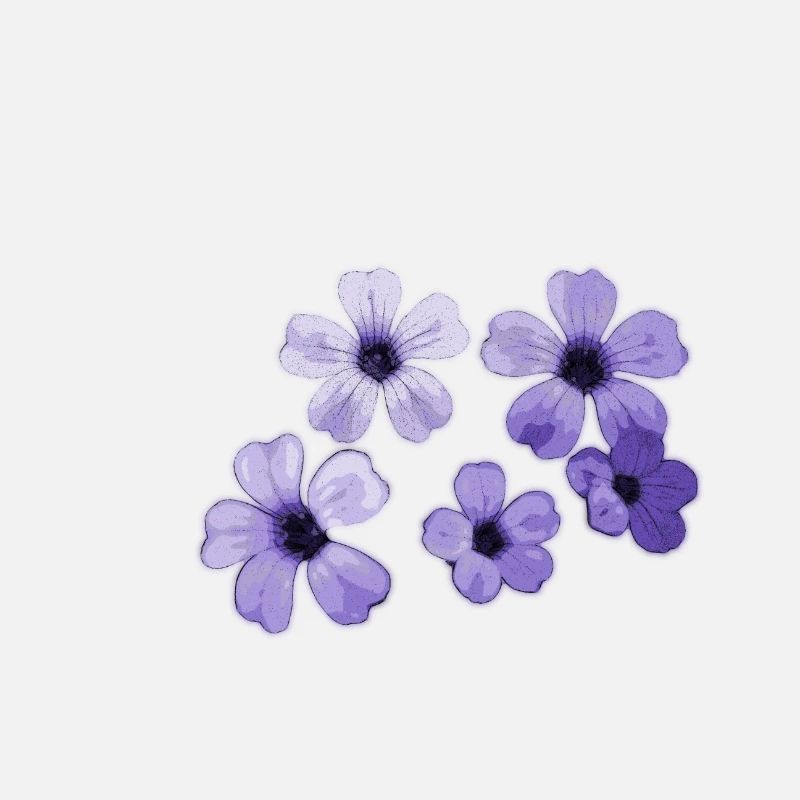 Fleurs