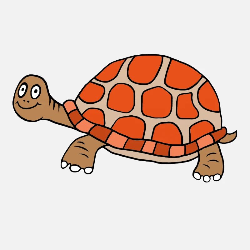 Playful turtle design for kids