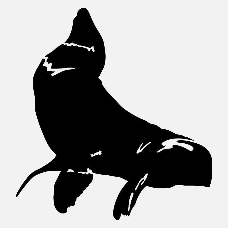 Fur Seal