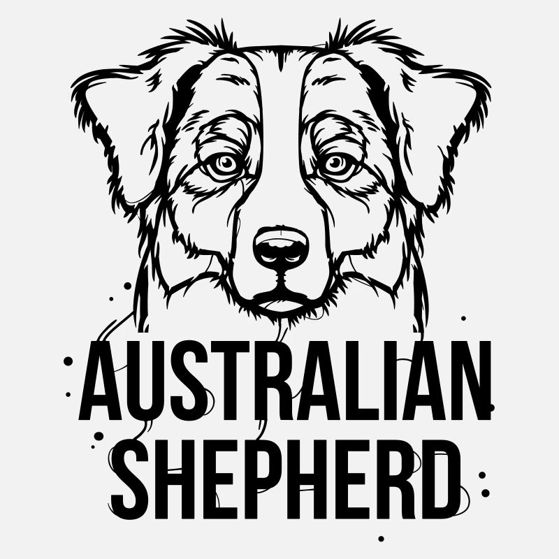 Australian Shepherd