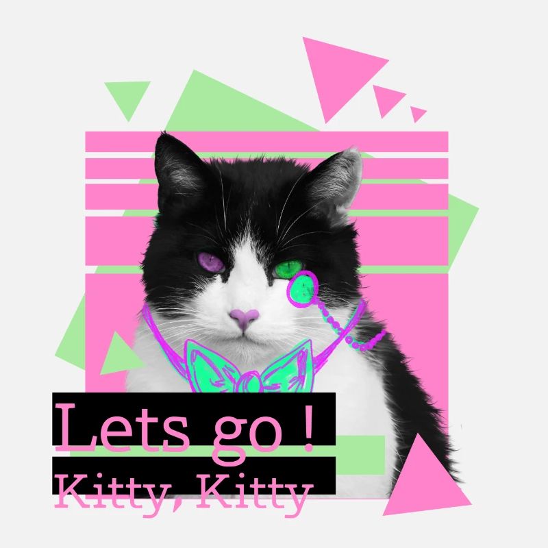 Lets go kitty, kitty