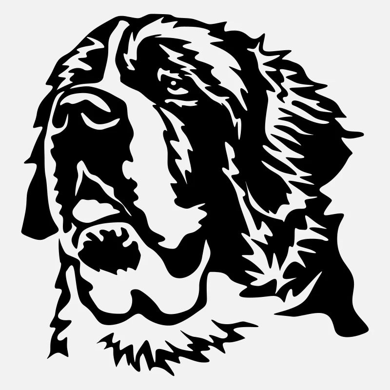 Tête de Saint Bernard