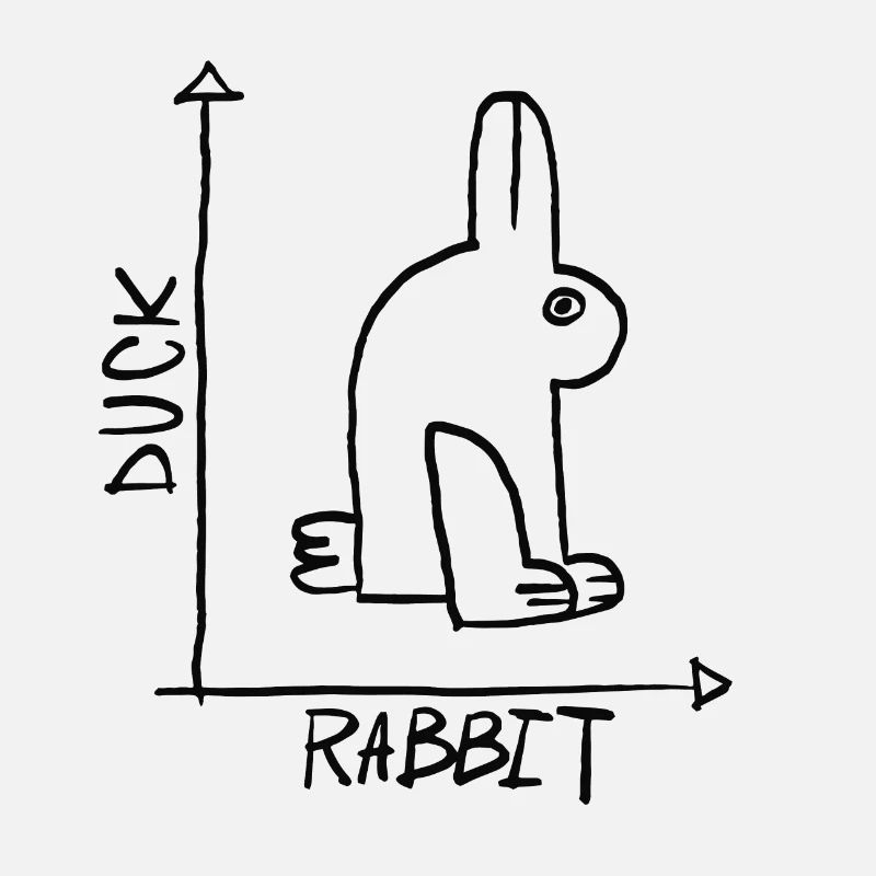 Duck or hare