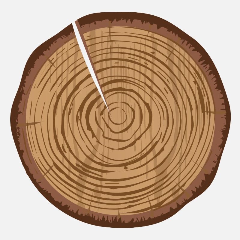 Eine Holzscheibe mit Jahresringe und einen Spalt