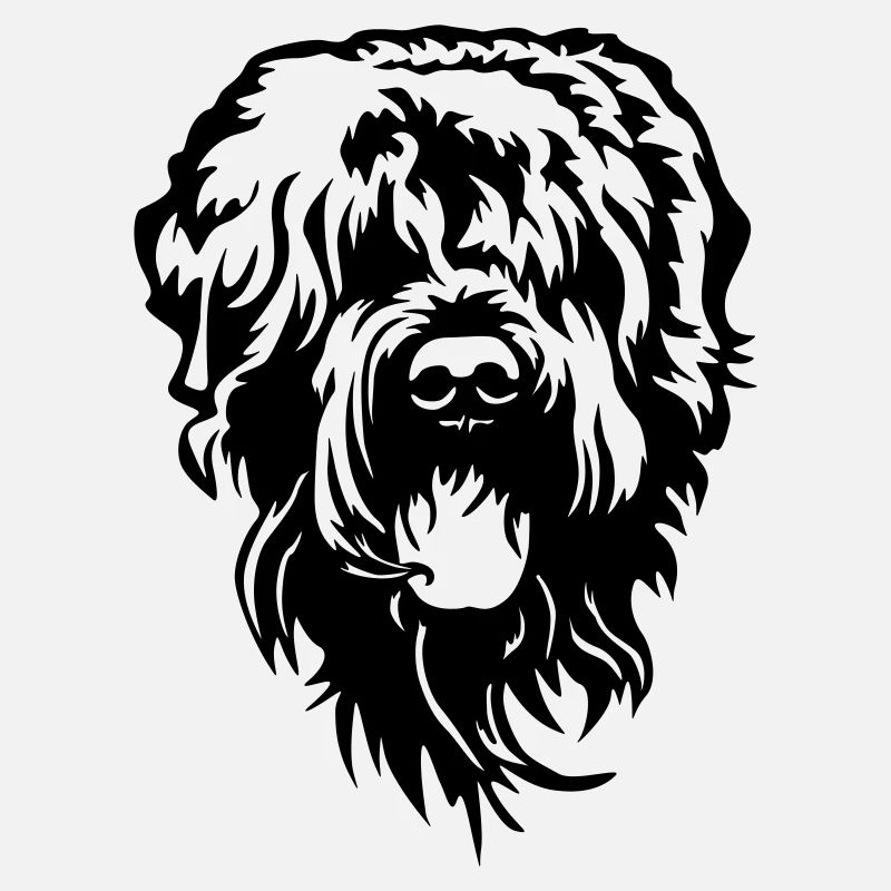 Russian Terrier Head