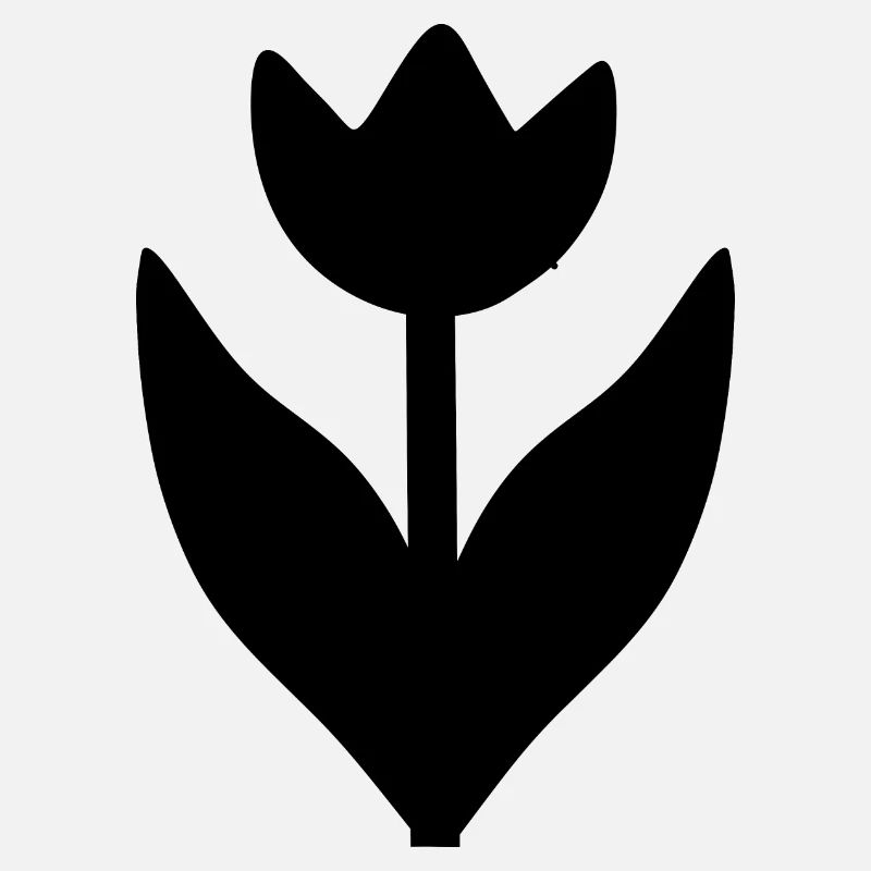 Fleur Fleurs Noires Fleur De Tulipe Fleur De Tulipe