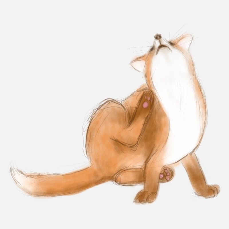 Kratzfuchs niedliche Tierzeichnung