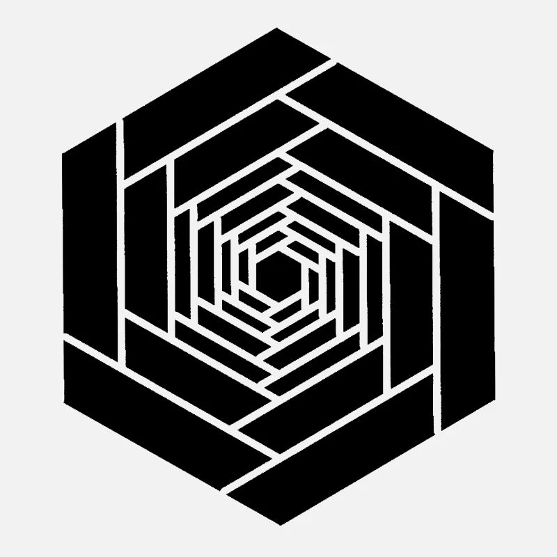 Infinite hexagon black flower